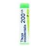 Boiron Thuya Occidentalis 200 CH globuli omeopatici tubo monodose