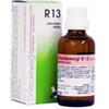 Dr. Reckeweg Reckeweg R13 gocce omeopatiche 22 ml