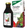 SALUS HAUS GMBH & CO KG Floradix Ferro E Vitamine 250 Ml