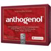 LA STREGA SRL Opc Masquelier Anthogenol 90 Capsule