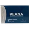NAUSICA MEDICAL SRLS Peana 300 20 Capsule