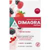 PROMOPHARMA SPA Dimagra Protein Red Fruit 10 Buste