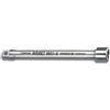 Hazet 8821-6 Prolunga, Argento, Attacco Quadro, Massiccio, 10 mm 3/8 di Pollice