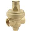 BOUTTE Boutté 3164711 RDPC20 - Riduttore di pressione centrale NF femmina 20 x 27, Oro (Or)