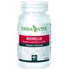 ERBA VITA GROUP SPA Boswellia Serrata 60 Capsule 400 Mg