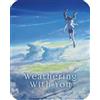 Dynit Weathering with You (Blu-Ray Disc + DVD - SteelBook)