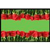 Digital Republic.Com, Zerbino in Poliammide e PVC, Privo di plastificanti, Multicolore (Fotodruck)