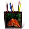 3DROSE PH 226709 1 12,7 cm Giant Pacific Octopus ritratto off Vancouver Island/b.c. Canada tile Pen Holder