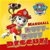 Pyramid International - Stampa su tela, motivo: Paw Patrol (Marshall), 30 x 30 cm, in legno, multicolore, 30 x 30 x 1,3 cm