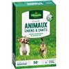 Vilmorin 4461212 - Prato per Animali Cani e Gatti, 5,80 x 14,5 x 22 cm, Colore: Verde