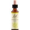 SCHWABE PHARMA ITALIA Srl Honeysuckle Fiori Di Bach® Originali 20ml