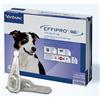 VIRBAC EFFIPRO DUO cane MEDIUM 10-20 KG 4 pip