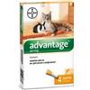 Bayer Advantage Gatti e Conigli spot on 4 pipette. Taglia inferiore a 4 kg