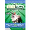 Fresh News Lettiera per Conigli e Furetti Fresh News 10 L