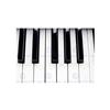Wee Blue Coo Piano Keys Black White Close Up Music Picture Wall Art Print Avvicinamento Musica Immagine Parete
