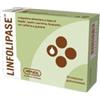 AMNOL LINFOLIPASE 30CPR