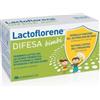 LACTOFLORENE DIFESA BB 10FL