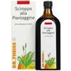 DR THEISS THEISS PIANTAGGINE 250ML