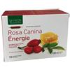 Natura Service Ligne De Plantes Rosa Canina Energie Bio 10 Ampolle Da 10 Ml