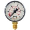 Manometro Co2 ricambio Ø50-Scala BAR e PSI-Fondo scala 250 BAR per cod. 01012002-02