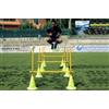 (07) SET DI 2 OSTACOLI MODELLO JUMP 3 GRADUATI 50-100CM
