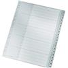 Leitz Rubrica con Tasti 1-20, Formato A4, Formato Extra Largo, Grigio, Divisori in Polipropilene Robusto con Pagina Indice, 12840000