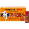 Fosfarsile Forte Ginseng Integratore Alimentare 10 Flaconcini