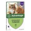 Bayer Advantage Spot-On 80 Antiparassitario per gatti e conigli 4 pipette