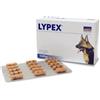 VETPLUS LTD Lypex Integratore Alimentare Per Animali Domestici 60 Capsule - Supporto Digestivo per Cani e Gatti