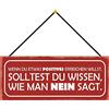 Schatzmix Blechschild Etwas positives erreichen Metallschild 27x10cm Tin Sign mit Kordel Targa di Metallo da Parete, Lamiera, Multicolore, 27x10 cm