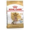 Royal Canin Breed Royal Canin Adult 8+ Yorkshire Terrier cibo per cane 3 kg