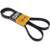 CONTITECH 6PK1750 Cinghia Poly-V