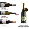 Confezione Selezione Passione - 18 bt + 1 Magnum Omaggio