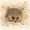 Bree Merryn Sconosciuto Tela Colorata Harley Box 40x40