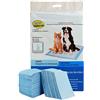 BPS BUENA PET SHOP BPS® Tappetini di Addestramento Profumi di Gatti Cani con feromoni per attirare Cuccioli e Semplificare l'allenamento (20 PCS 60 * 90 cm) BPS-2170