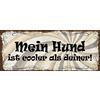 Schatzmix Blechschild Mein Hund Ist Cooler Als deiner Metallschild Wanddeko 27x10cm Tin Sign Targa di Metallo da Parete, Lamiera, Multicolore, 27x10 cm