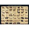 Schatzmix Blechschild Übersicht Ziegen, Schafe-und Schweine-Rassen 20x30 cm Wanddeko Targa di Metallo da Parete, Lamiera, Multicolore