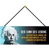 Schatzmix Blechschild der Sinn des Lebens Metallschild Wanddeko 27x10cm Tin Sign m. Kordel Targa di Metallo da Parete, Lamiera, Multicolore, 27x10 cm