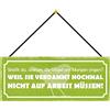 Schatzmix Blechschild Warum Vögel am Morgen singen Metallschild 27x10cm Deko mit Kordel Targa di Metallo da Parete, Lamiera, Multicolore, 27x10 cm