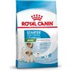 Royal Canin Mini Starter Mother & Babydog - 1 kg Croccantini per cani