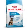 Royal Canin Maxi Puppy Junior - 4 kg Croccantini per cani