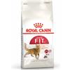 Royal Canin Fit 32 Adult Cat - 2 kg Croccantini per gatti