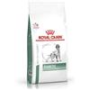 Royal Canin Veterinary Diet Diabetic Dog - 1,5 kg - Dieta Veterinaria per Cani - scegli lo sconto BZR5 / BZR20