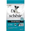 Schesir Dog Dry Small Maintenance con Pesce e Riso - 2 kg Monoproteico crocchette cani Croccantini per cani