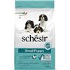 Schesir Dog Dry Small Puppy Pollo - 2 kg - Crocchette Monoproteiche Cane - 1° ORDINE? scegli lo sconto BZR5 / BZR20 + 200 punti fedeltà