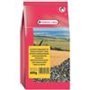 Versele Laga Semi di Girasole striato - 600 gr - Mangime per uccelli - 1° ORDINE? scegli lo sconto BZR5 / BZR20 + 200 punti fedeltà