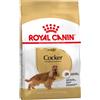 Royal Canin Breed Health Royal Canin Cocker Adult - 3 kg - Croccantini per cani - 1° ORDINE? scegli lo sconto BZR5 / BZR20 + 200 punti fedeltà