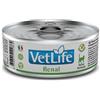 Farmina Vet Life Feline Renal - 85 gr Dieta Veterinaria per Gatti