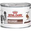 Royal Canin Veterinary Diet Royal Canin Recovery Cats/Dogs - 195 gr Dieta Veterinaria per Gatti