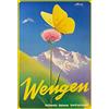 Schatzmix Blechschild Wengen Blume mit Schmetterling Metallschild 20x30 Wanddeko Tin Sign Targa di Metallo da Parete, Lamiera, Multicolore, 20x30 cm